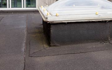 disadvantages of Dolwyddelan flat roofs
