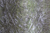 Dolwyddelan fibreglass roof work